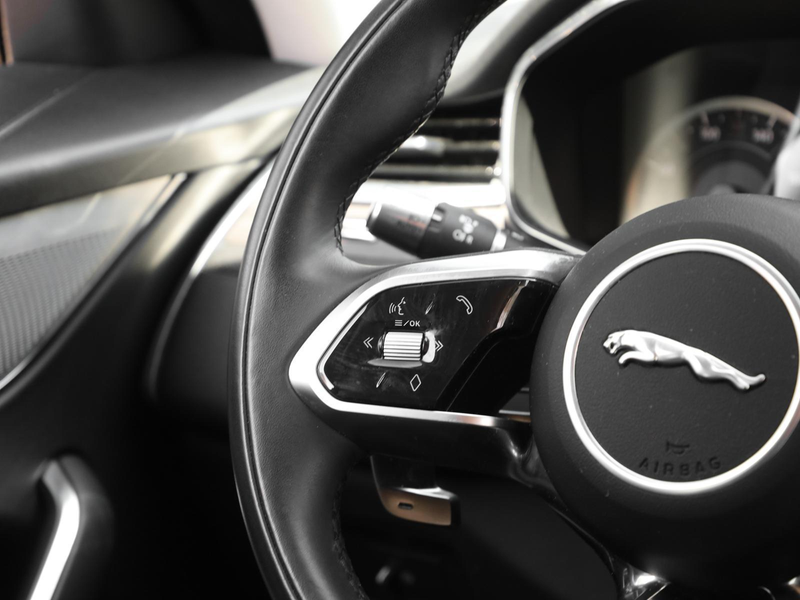 Jaguar F-Pace D165 AWD S NAVI PIVI KLIMA LEDER SHZ PDC — photo 7