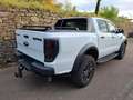 Ford Raptor 4x4 DK Klima Navi Standheizung Blanc - thumbnail 6