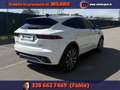 Jaguar E-Pace 2.0D 180 CV AWD aut. R-Dynamic SE Bianco - thumbnail 7