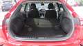 Kia XCeed Xceed 1,6 CRDI SCR Silber DCT Aut. Rot - thumbnail 13