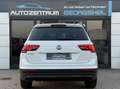 Volkswagen Tiguan Sound/ACC/AHK/PDC/CarPlay/BLACK WEEK Weiß - thumbnail 6