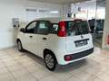 Fiat Panda 1.2i 70cv 5 portes blanche 62.022 km Radio CD Blanc - thumbnail 6