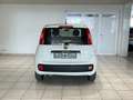 Fiat Panda 1.2i 70cv 5 portes blanche 62.022 km Radio CD Blanc - thumbnail 5