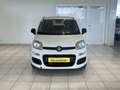 Fiat Panda 1.2i 70cv 5 portes blanche 62.022 km Radio CD Blanc - thumbnail 2