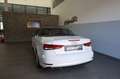 Audi A3 Cabriolet 1.6 TDI sport Weiß - thumbnail 4