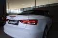 Audi A3 Cabriolet 1.6 TDI sport Weiß - thumbnail 19