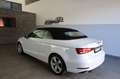 Audi A3 Cabriolet 1.6 TDI sport Weiß - thumbnail 5
