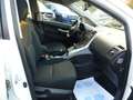 Toyota Auris HSD 136H DYNAMIC 15 5P Weiß - thumbnail 12