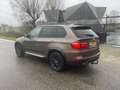 BMW X5 grijjs kenteken Bruin - thumbnail 4