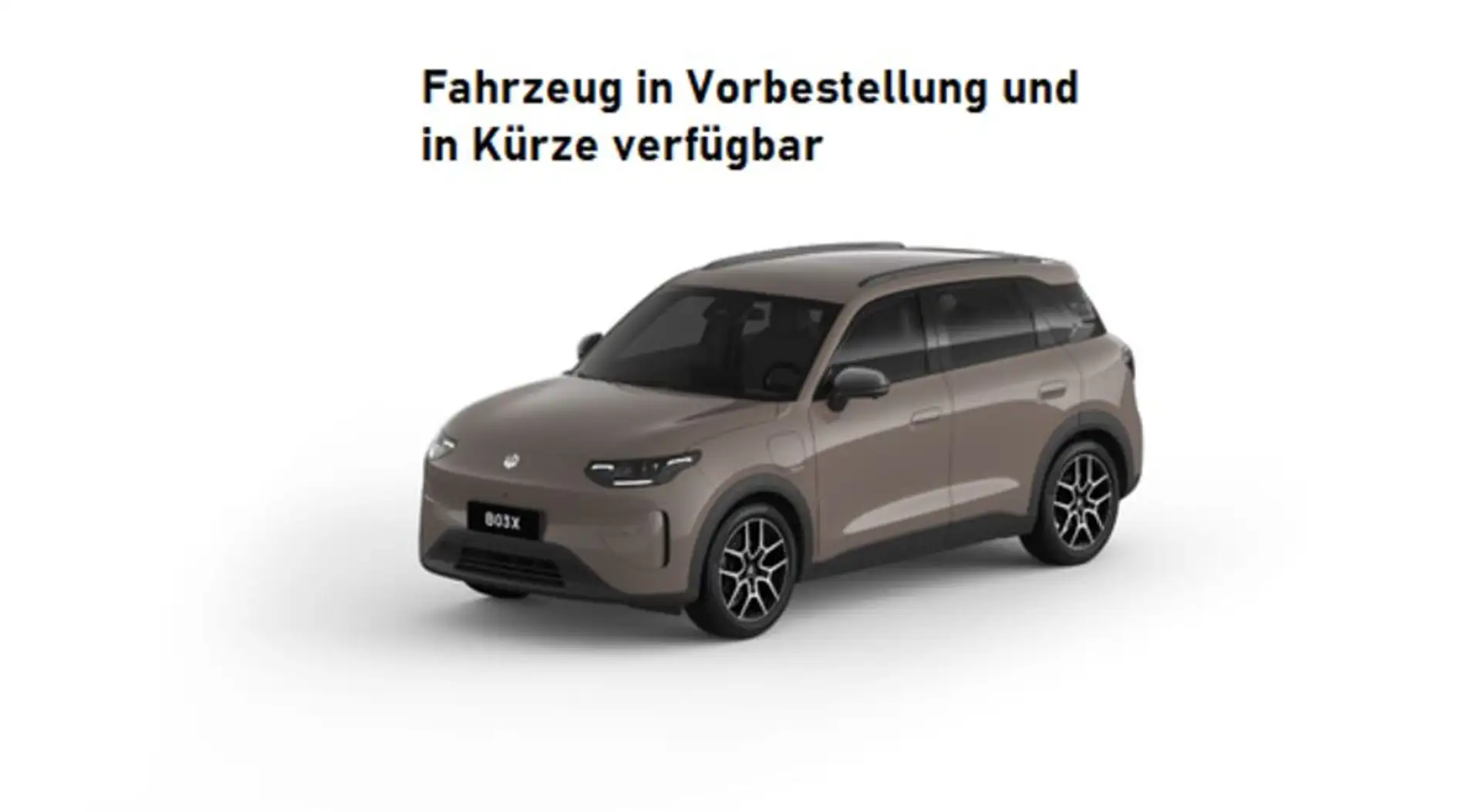 Leapmotor Sonstige B03X Elektro 53kWh Design Pro Max Braun - 1