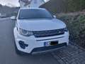Land Rover Discovery Sport Discovery Sport TD4 Aut. SE Weiß - thumbnail 2