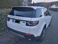 Land Rover Discovery Sport Discovery Sport TD4 Aut. SE Weiß - thumbnail 5