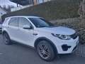 Land Rover Discovery Sport Discovery Sport TD4 Aut. SE Weiß - thumbnail 1