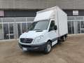 Mercedes-Benz Sprinter 2.2 CDI 163 cv Furgonatura+Sponda Weiß - thumbnail 1