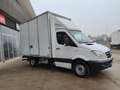 Mercedes-Benz Sprinter 2.2 CDI 163 cv Furgonatura+Sponda Weiß - thumbnail 2