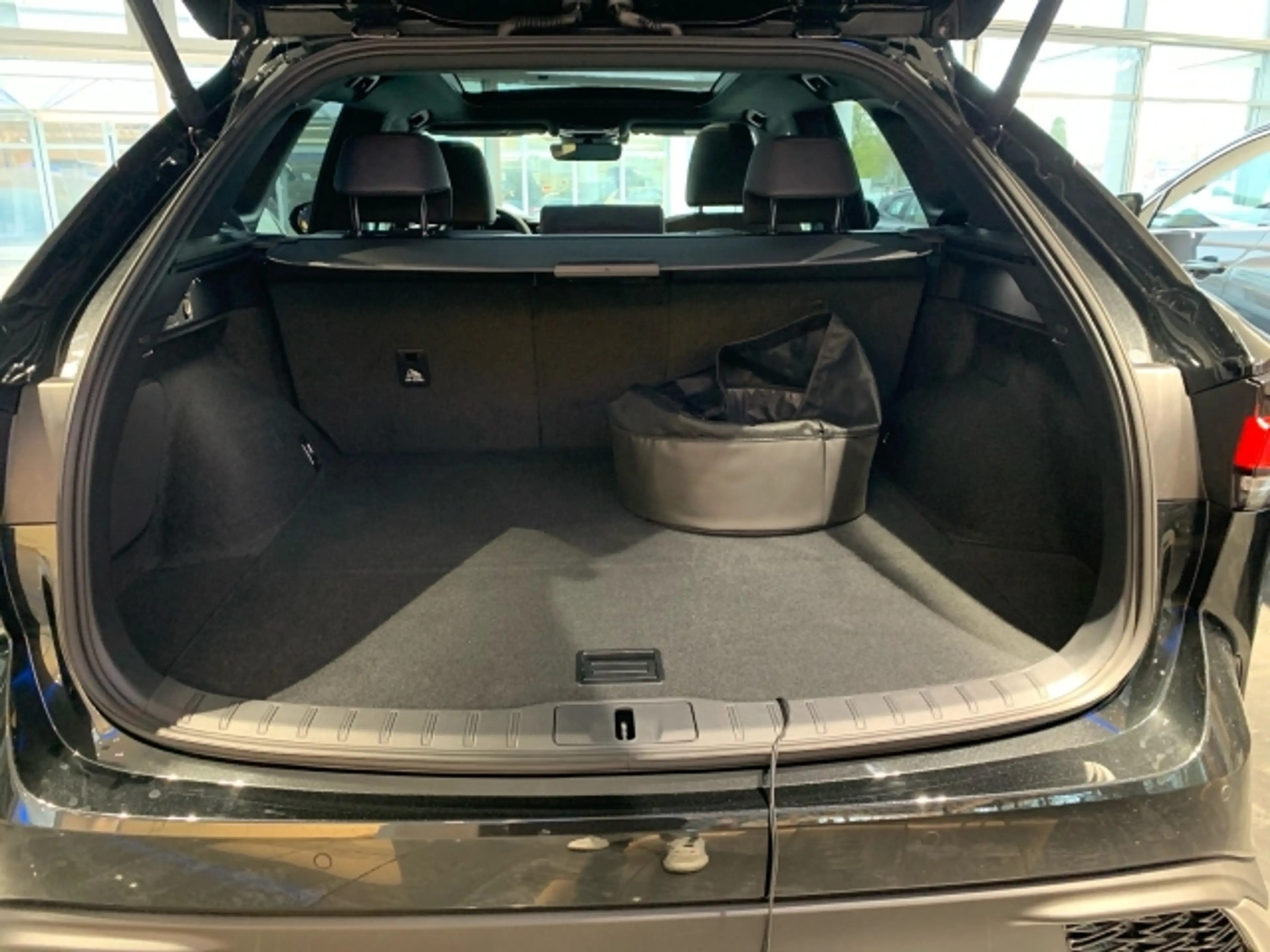 Lexus RX 450h RX 450h+ F SPORT Design — photo 12