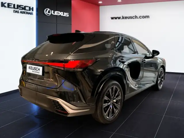 Lexus RX 450h RX 450h+ F SPORT Design Ansicht 13
