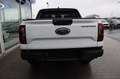 Ford Ranger Ranger DK Wildtrak e-4WD 2.3 EcoBoost 11,8kWhAu... Blanco - thumbnail 5