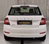 Skoda Fabia Ambition 1,0 TSI - thumbnail 14