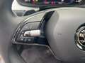 Skoda Kamiq 1.5 TSI DSG Tour LED/ACC/NAVI/KAMERA Grau - thumbnail 16