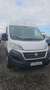 Fiat Ducato Fg. Maxi 35 2.3Mjt LPEGR Ex.L T.S.A 95kW Blanco - thumbnail 1