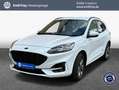 Ford Kuga 2.5 Duratec PHEV ST-LINE X Weiß - thumbnail 1