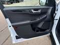 Ford Kuga 2.5 Duratec PHEV ST-LINE X Weiß - thumbnail 13