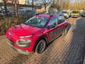 Citroen C4 Cactus PureTech 82 Automatik Feel Euro 6 Rot - thumbnail 2