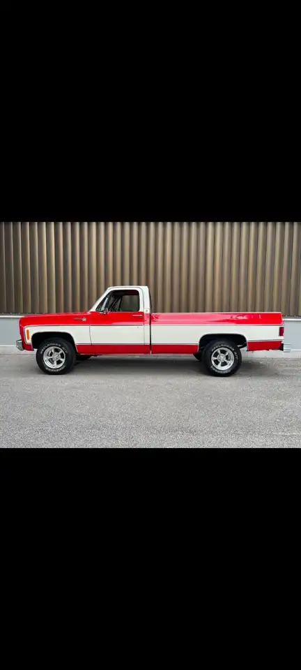 Chevrolet S-10 scottsdale C 10, foto 6