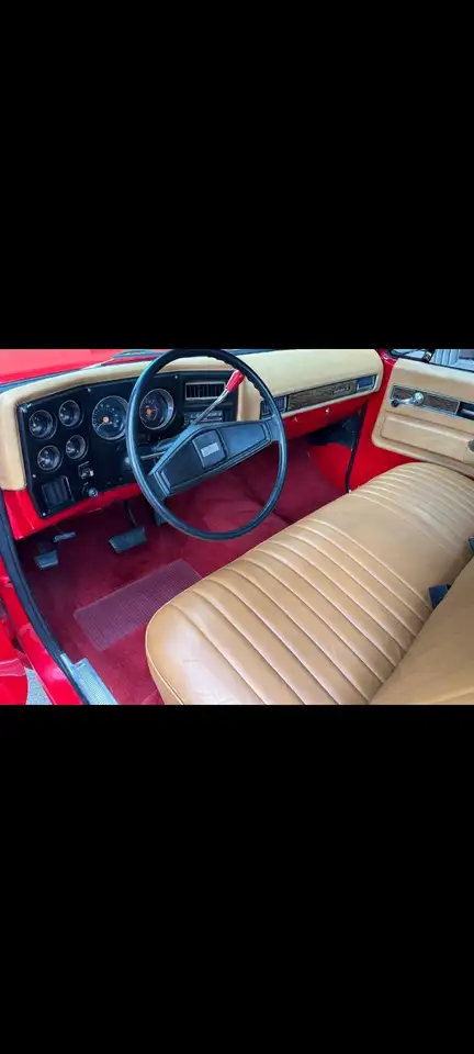 Chevrolet S-10 scottsdale C 10, foto 8