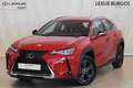 Lexus UX 200 2WD BUSINESS Rojo - thumbnail 1