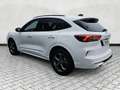Ford Kuga ST-Line 1.5 EB Autom. ST Line 5J.Gar KeyFree Ka... Weiß - thumbnail 5
