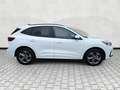 Ford Kuga ST-Line 1.5 EB Autom. ST Line 5J.Gar KeyFree Ka... Weiß - thumbnail 8