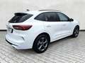 Ford Kuga ST-Line 1.5 EB Autom. ST Line 5J.Gar KeyFree Ka... Weiß - thumbnail 7