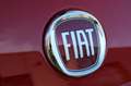 Fiat 500 Sport FireFly Hybrid 70PS Rot - thumbnail 16