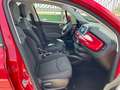 Fiat 500X 1.3 mjt Popstar 4x2 95cv Rouge - thumbnail 13