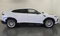 Lamborghini Urus Urus 4.0 S Blanc - thumbnail 2