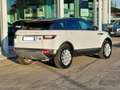 Land Rover Range Rover Evoque Range Rover Evoque 5p 2.0 TD4 SE 150cv Auto N1 Blanco - thumbnail 5