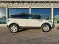 Land Rover Range Rover Evoque Range Rover Evoque 5p 2.0 TD4 SE 150cv Auto N1 Blanco - thumbnail 4