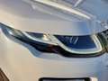 Land Rover Range Rover Evoque Range Rover Evoque 5p 2.0 TD4 SE 150cv Auto N1 Blanco - thumbnail 9