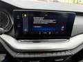 Skoda Octavia Combi 2,0 TDI 4x4 Ambition DSG Silber - thumbnail 13