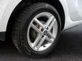smart forTwo EQ  22KW SHZ Weiß - thumbnail 8
