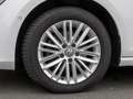 Volkswagen Golf VII Variant 1.4 TSI DSG Cup CLIMATRONIC PARK-AS... Bianco - thumbnail 6
