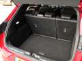 Ford Puma ST-Line X Hybrid 125pk I B&O Audio I Navigatie I W Rood - thumbnail 26