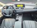 Lexus ES 300 h Luxury Line +MatrixLED+Leder+MarkLevinson Красный - thumbnail 11