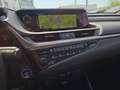 Lexus ES 300 h Luxury Line +MatrixLED+Leder+MarkLevinson Красный - thumbnail 22