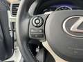 Lexus CT 200h Executive Blanc - thumbnail 14