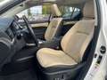 Lexus CT 200h Executive Blanc - thumbnail 9