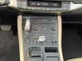 Lexus CT 200h Executive Blanc - thumbnail 22