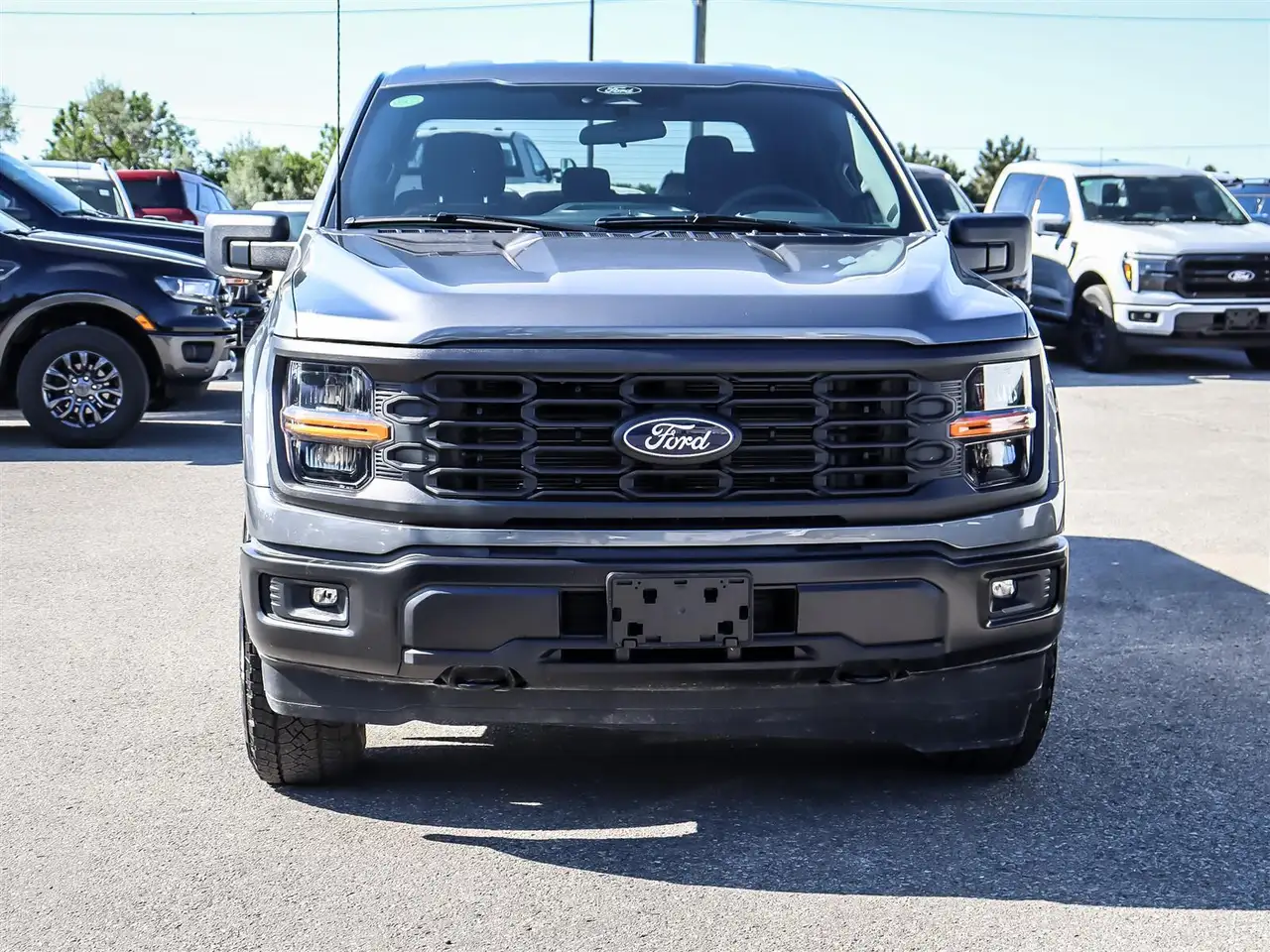 Ford F 150 photo Ford F 150